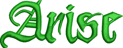 SOLO LEVELING BORDADO